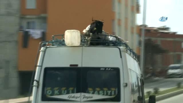 Keçileri Kaçırtan Yolculuk...Minibüs Üstündeki Keçinin Zorlu Yolculuğu Kamerada