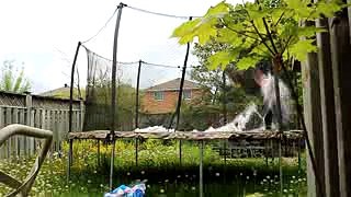 CRAZY TOILET PAPER VS TRAMPOLINE!