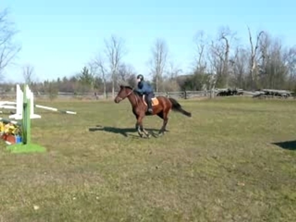 willard saute 2p3