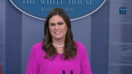 Sarah Sanders: George Papadopoulos Had No Official Capacity