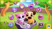 Fun Animals Pet Care - Cute Kitty & Puppy Care Fun Kids Games