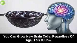 You Can Grow New Brain Cells, Regardless Of Age, This Is How