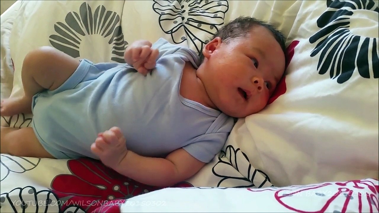 Day50 - Wilson Baby Waves to Say Hello, New outfit and Yuma the CAT appears