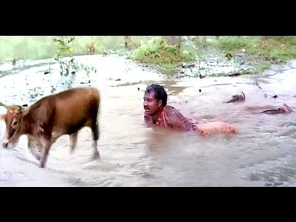 ഇനിയില്ല മണികിലുക്കം.. | Kalabhavan Mani Super Hit Malayalam Comedy Scenes | Non Stop Comedy Scenes