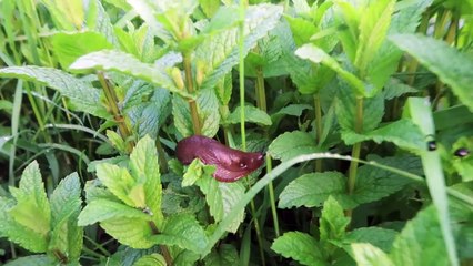 Lego City Videos For Kids - Plane Race!