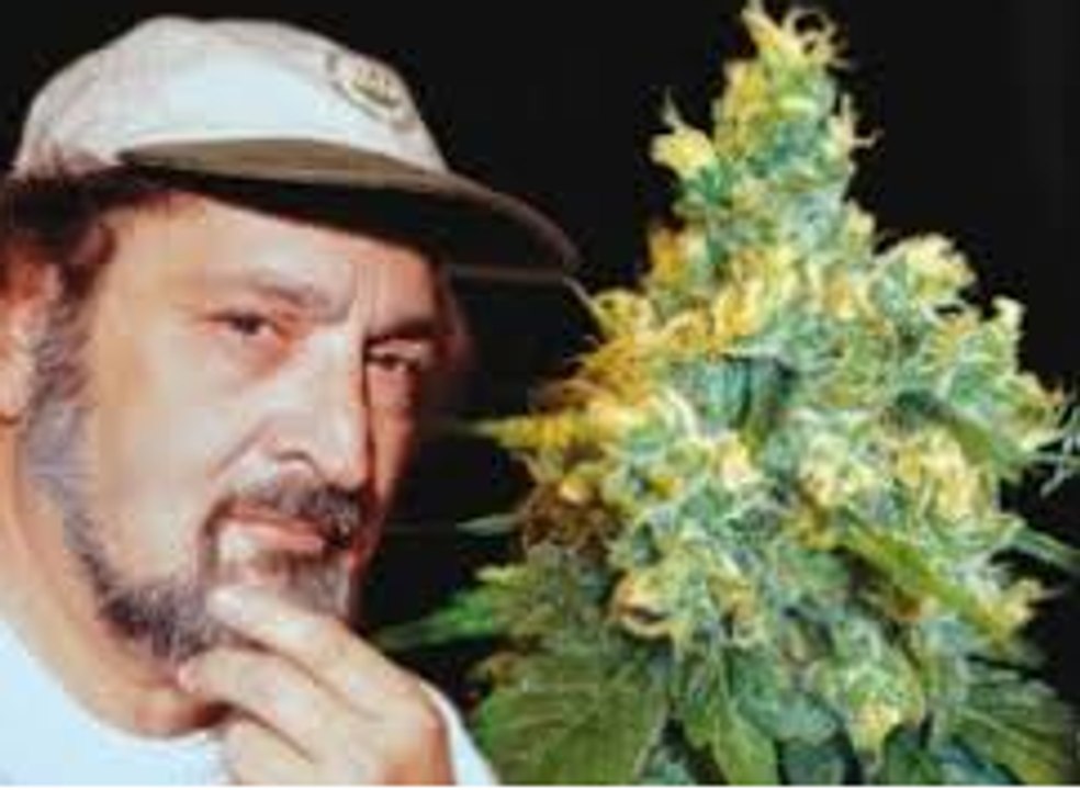 jack herer net worth