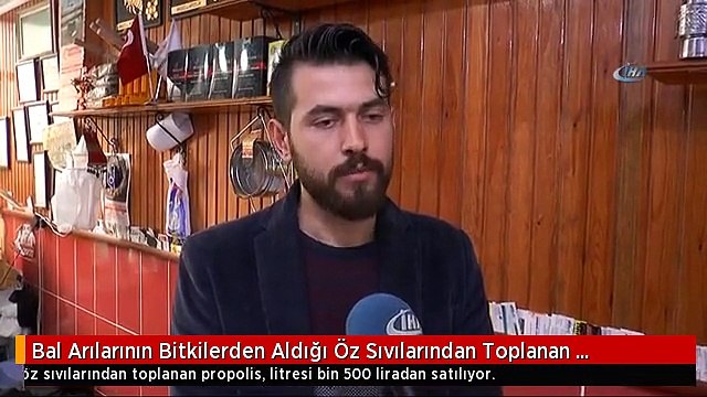 Bal Arılarının Bitkilerden Aldığı Öz Sıvılarından Toplanan Propolis, Bin 500 TL'ye Satılıyor