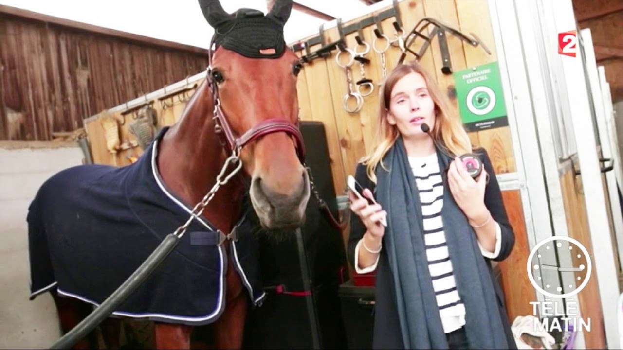 Nouveau – Fredonner à l’oreille des chevaux