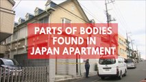 Japanese man arrested after parts of 9 bodies found in apartment