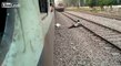 Train Suicider Aborting Suicide