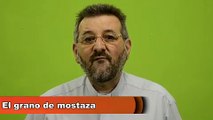 EVANGELIO DEL DÍA 31/10/2017 - PADRE FABIÁN CASTRO