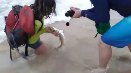 Quand un bébé requin ne veut pas lacher le bras dune touriste...