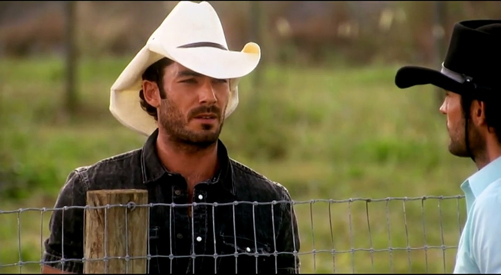 Terre De Passions Video Dailymotion