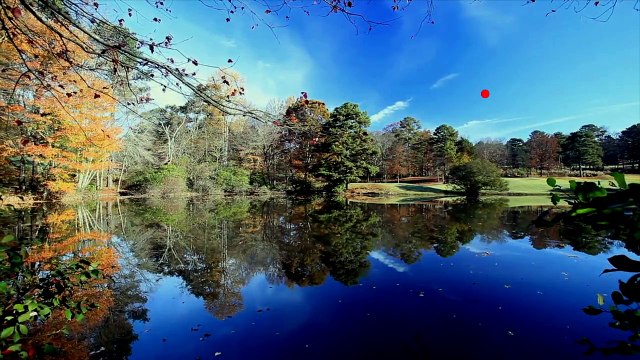 أخبار سارة: علماء وزعماء وفنانين ولاعبين، ولدوا في شهر أكتوبر، من هم؟