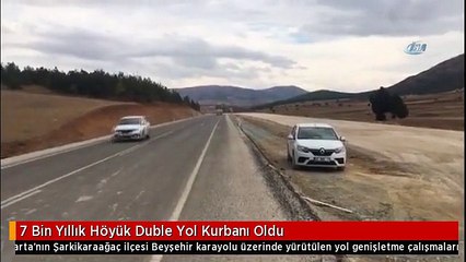 7 Bin Yıllık Höyük Duble Yol Kurbanı Oldu