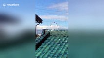 Typhoon Lan blows ferris wheel gondolas wildly in wind