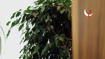 كيف تستعملين المسبحة في ديكور المنزل؟