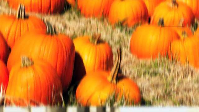 اسألي ماغي - تعلمي كيفية تحضير قناع اليقطين لتقشير بشرتك