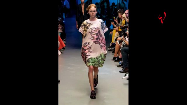 ع الموضة - النمر مرّ من هنا...