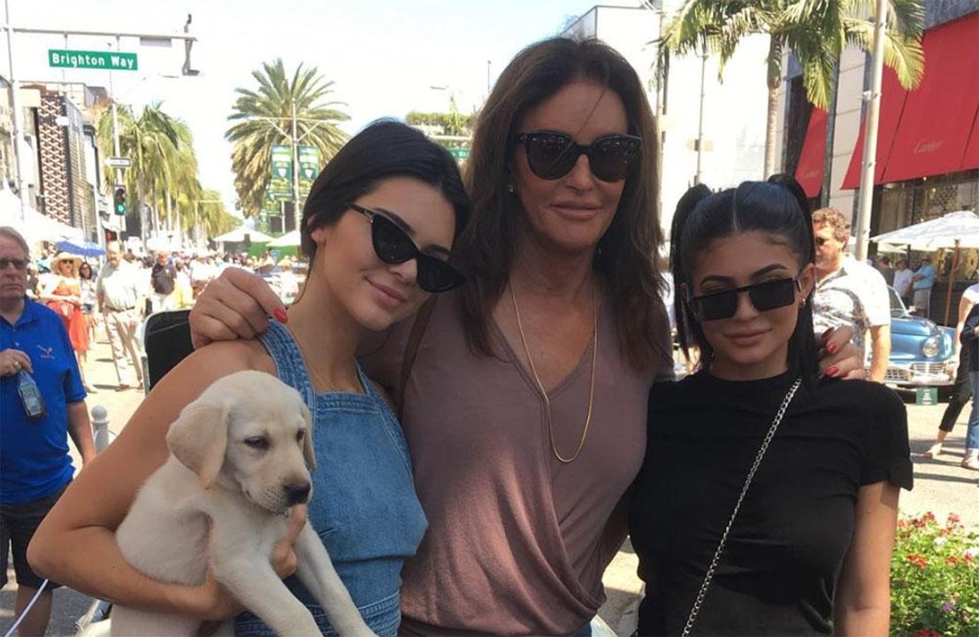 Best celebrity pets' Halloween costumes