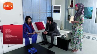 Apnay - Episode 99 - Drama Serial - SEE TV