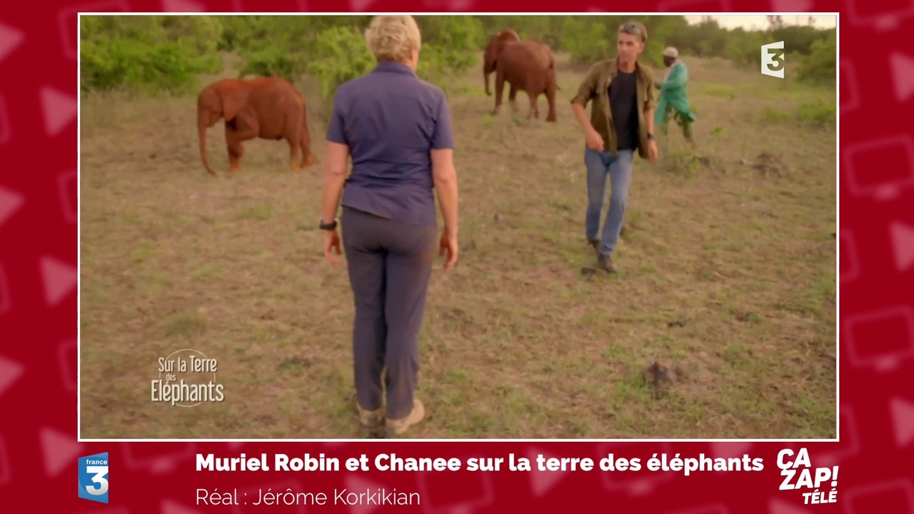 Muriel Robin joue au foot avec des éléphants !