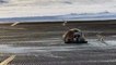 Un phoque coince une piste d'aéroport