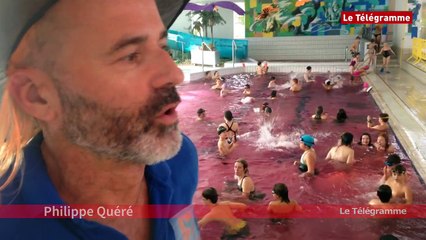 Carhaix-Plouguer. La piscine se teint en mauve