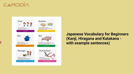 Japanese Vocabulary for Beginners By CardDia Flashcards - New product released