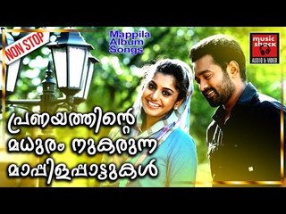 പ്രണയത്തിന്റെ മധുരം നുകരുന്ന മാപ്പിളപ്പാട്ടുകൾ # Malayalam Mappila Songs 2017 # Mappila Hits 2017