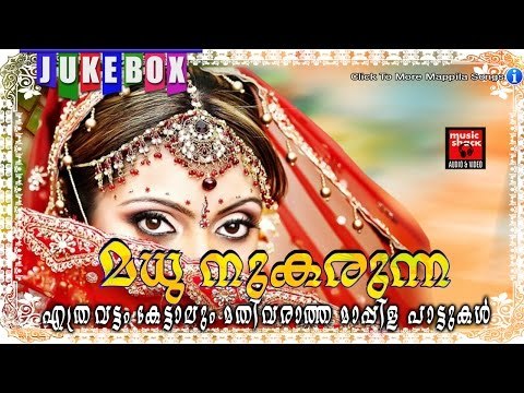 മധു നുകരുന്ന | Mappila Pattukal Old Is Gold |Malayalam Mappila Songs 2017 |Pazhaya Mappila Pattukal