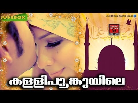 കള്ളിപൂങ്കുയിലെ | New Malayalam Romantic Album 2017 | Malayalam Romantic Album Songs