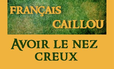 Français caillou / Définition du jour : "Avoir le nez creux"