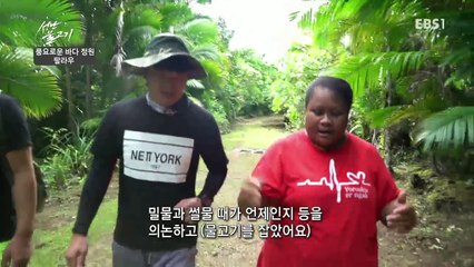 성난 물고기 - 풍요로운 바다정원, 팔라우_#003