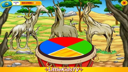Go Diego Go Safari Rescue - Go Diego Go Game for Сhildren [Little Kids TV]