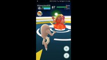 Pokémon GO Gym Battles Two Level 3 Gyms DITTO Porygon Chansey Jynx Hitmonlee & more