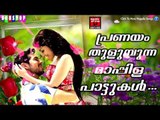 പ്രണയം തുളുമ്പുന്ന മാപ്പിള പാട്ടുകൾ|Romantic Mappila Songs|Mappila Pattukal|Super Hits Mappila Songs