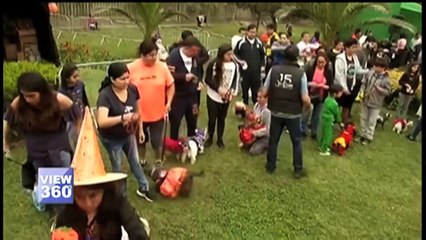 وائٹ ہاؤس میں صرف نقلی نہیں اصلی بھوت بھی رہ چکے ہیں