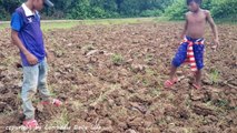 Terrifying !! Two Children Catch Two Big Snakes Near Tractor Behind My House