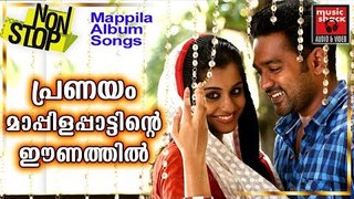 പ്രണയം മാപ്പിളപ്പാട്ടിന്റെ ഈണത്തിൽ # Malayalam Mappila Songs 2017 # Mappila Pattukal # Mappila Songs