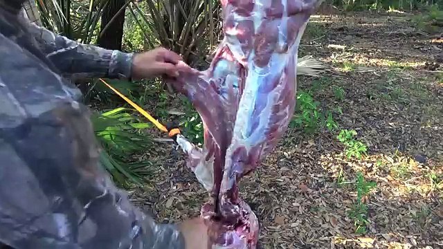 Robs Archery Hog Hunt Clean Cook!!! Deer Meat For Dinner