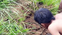 (100% Real Life ) Amazing Three Boys Catch Three Big Snakes by Digging One Hole