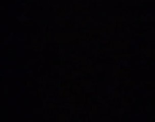 Zvezdana Prasina (1976)