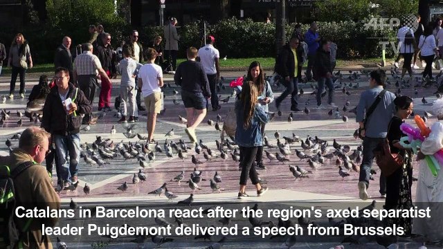 Poll shows more Catalans favour independence than not