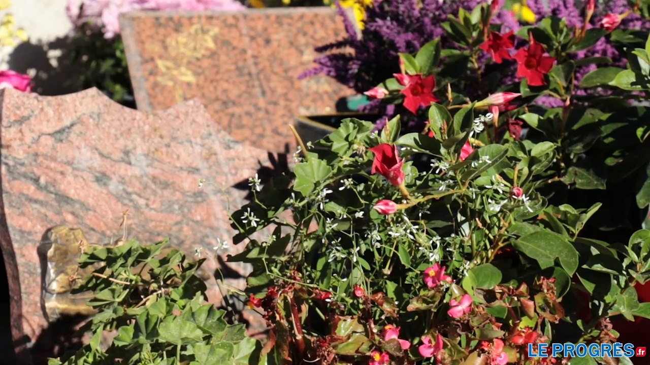 31e Toussaint pour le gardien du cimetière de Firminy