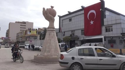 Suruç Nar Festivali