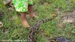 Amazing Moment!!! Two Children Catch Three Biggest Snakes Near Hand Tractor While Plowing