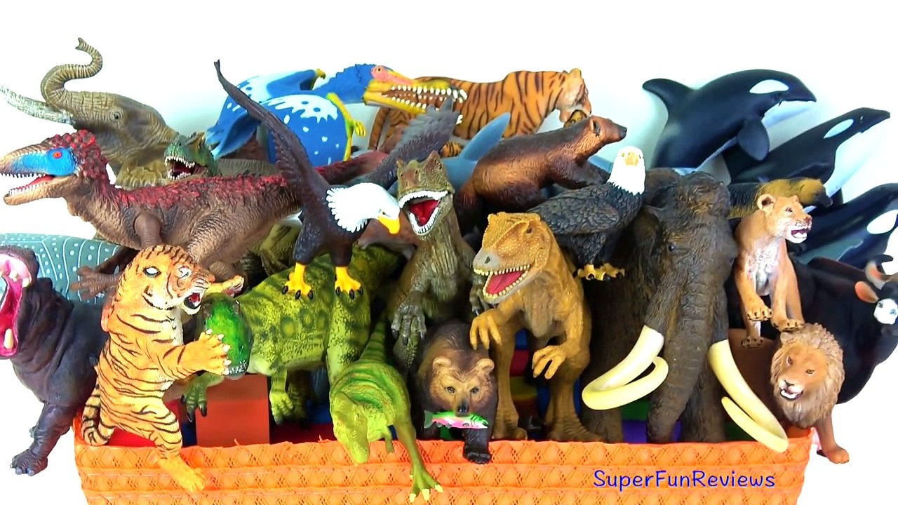 Dinozorlar Vahşi Hayvanlar Köpekbalıkları Balina Balık Mamut Hayvanat bahçesi hayvanları - Eğitim