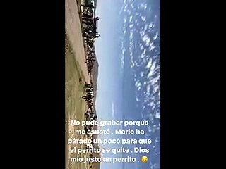 Mario Hart casi atropella a perrito en carrera de Caminos del Inca