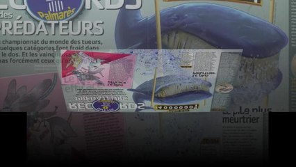 "En chasse avec les prédateurs" : Le nouveau Hors-Série Science&Vie Junior N°126